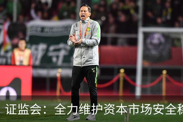 证监会：全力维护资本市场安全稳定